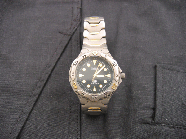 Fossil_Ti_02_01.gif