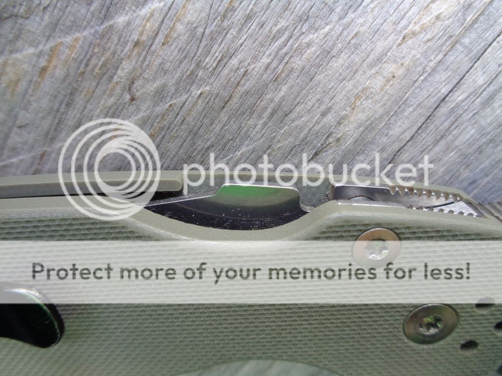 DSC00268_zpsvyvxpkm7.jpg