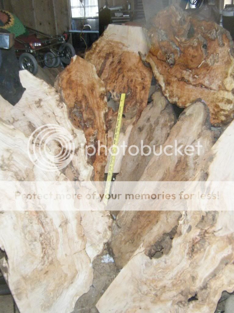 burl001.jpg