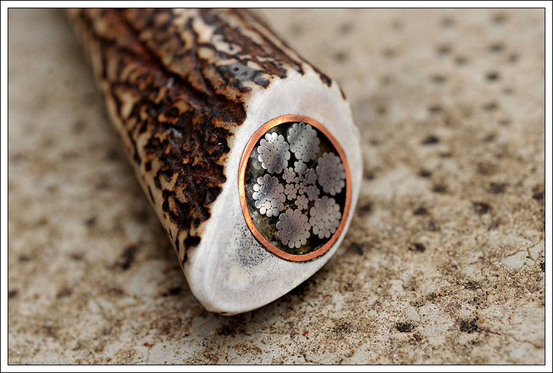 stagcable9.jpg