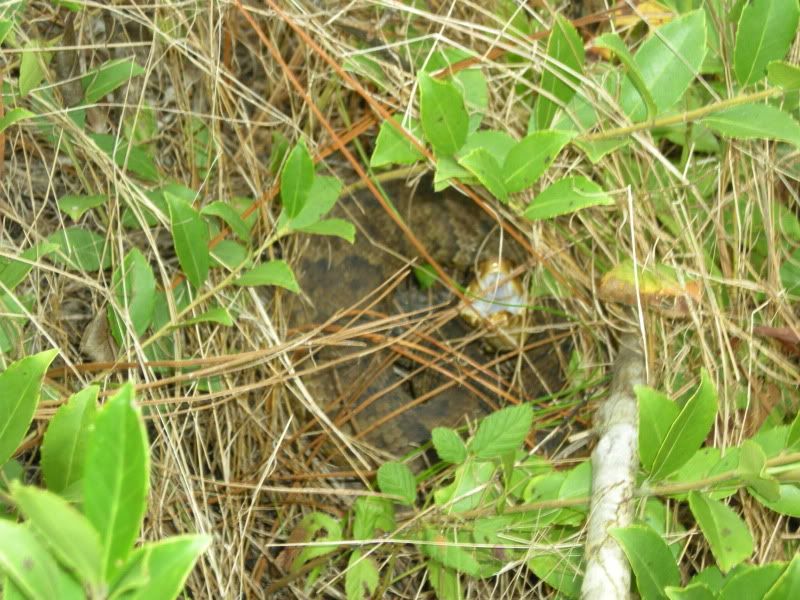 DSCN0453.jpg