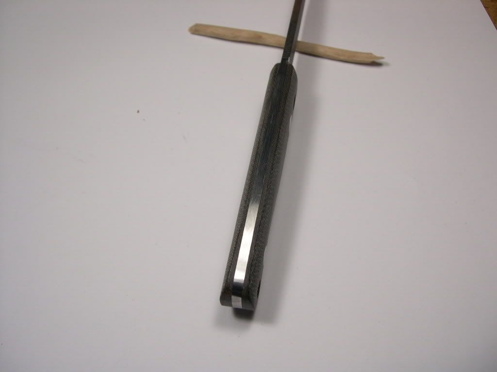 DSCN2372.jpg