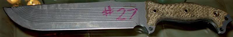 DSC00298aMedium.jpg