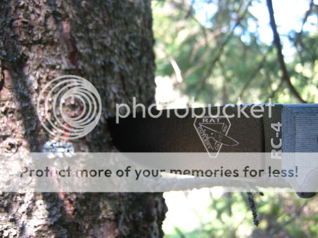 IMG_7576.jpg