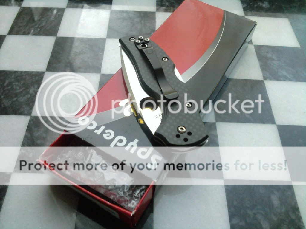 2010-12-10142532.jpg