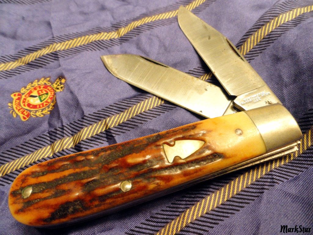 DSC02694.jpg
