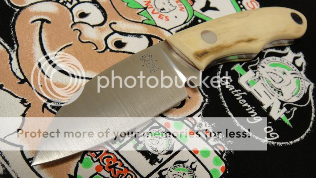 DSC04005.jpg