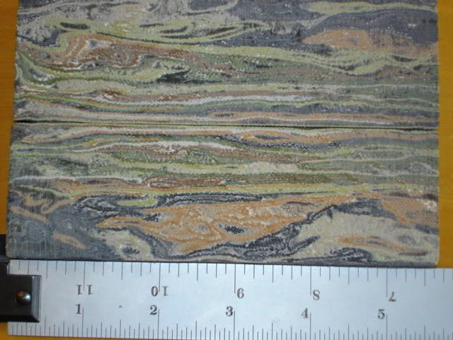 DSC02320.jpg