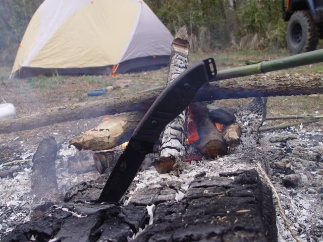 DSC09936.jpg