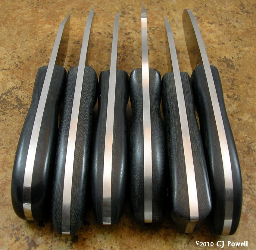 PygmyGroupSpine.jpg