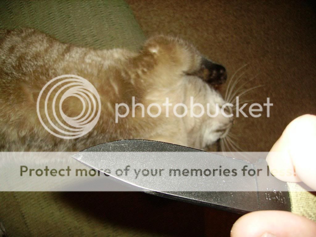 PICT0149.jpg
