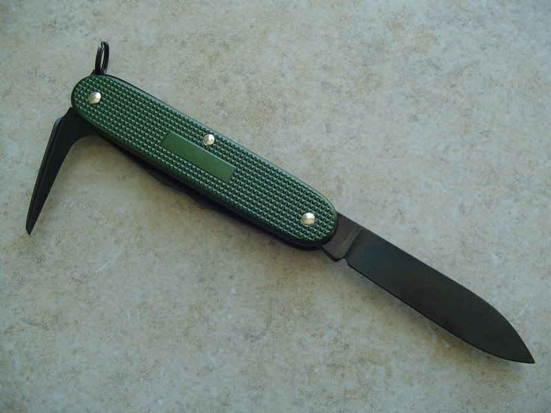 BlackGreenPioneer002.jpg
