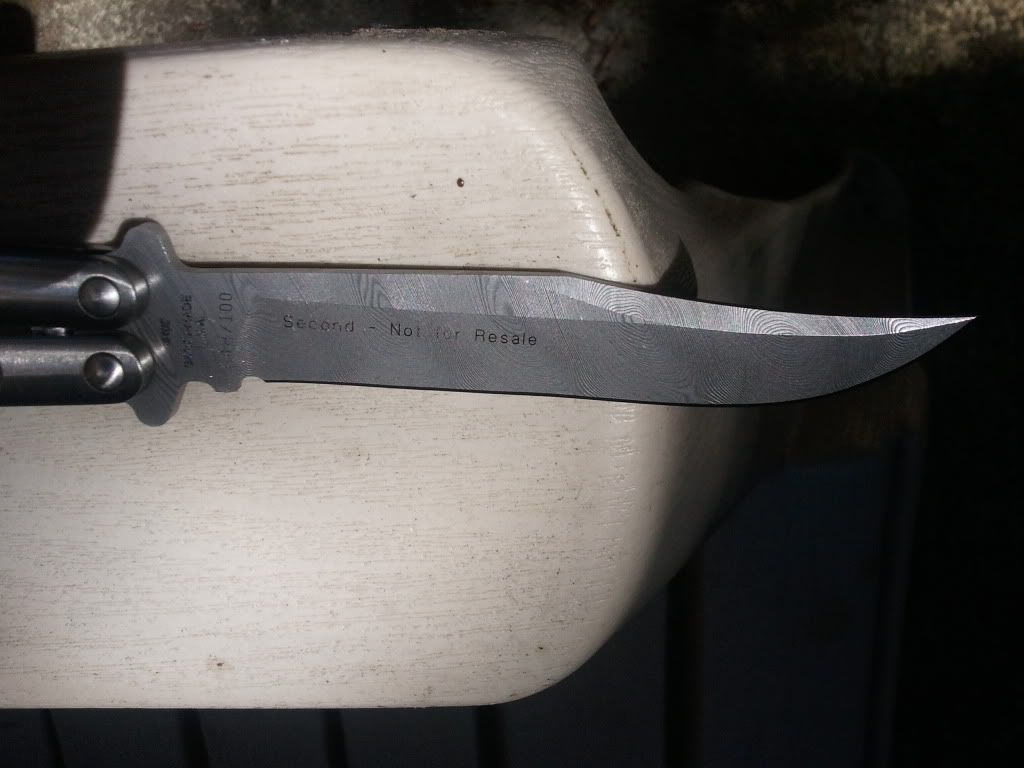 2011-08-03132557.jpg