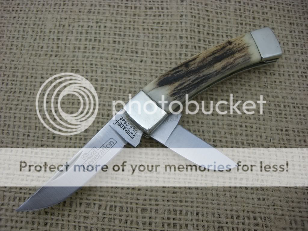 Knives2022.jpg