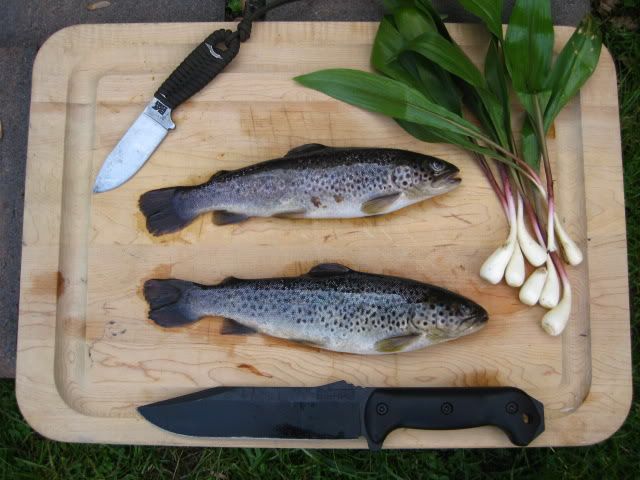 fishingmay2012012.jpg