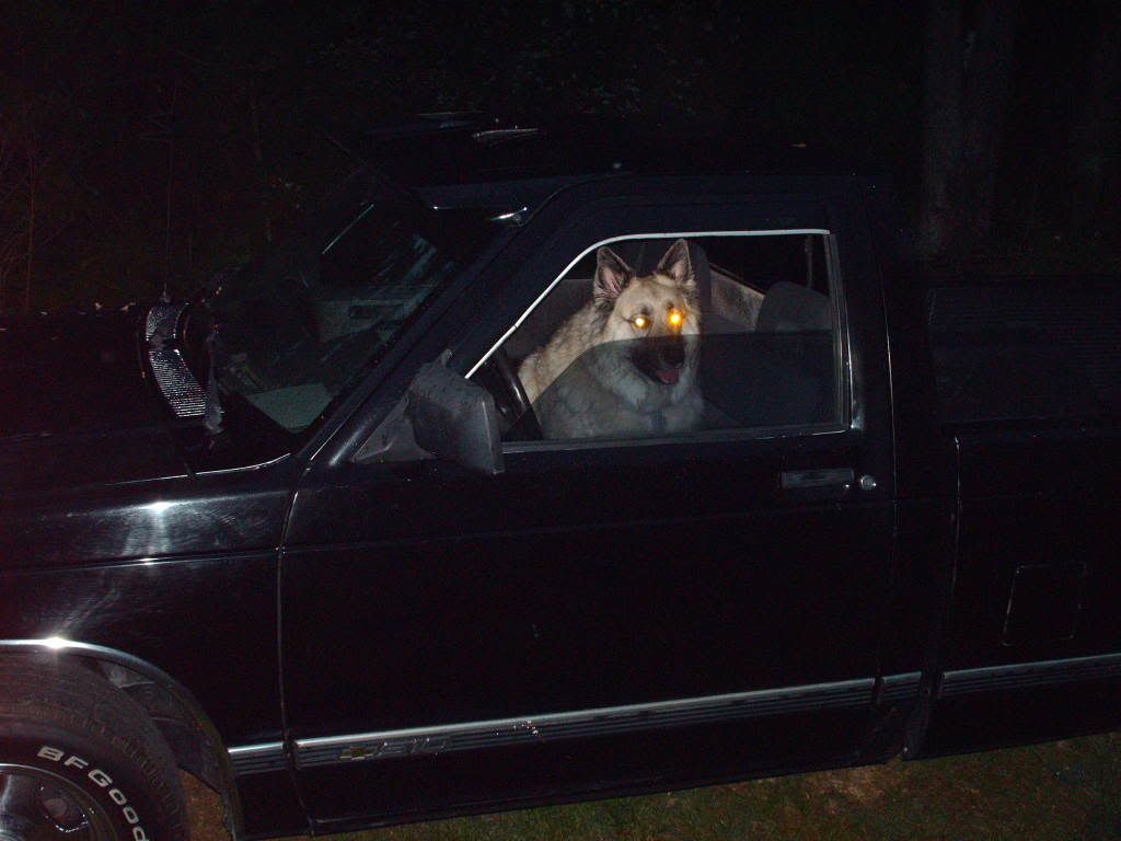 HPIM0230.jpg