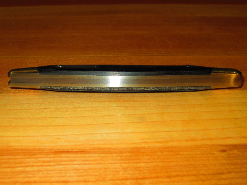 Buck302_vii.jpg