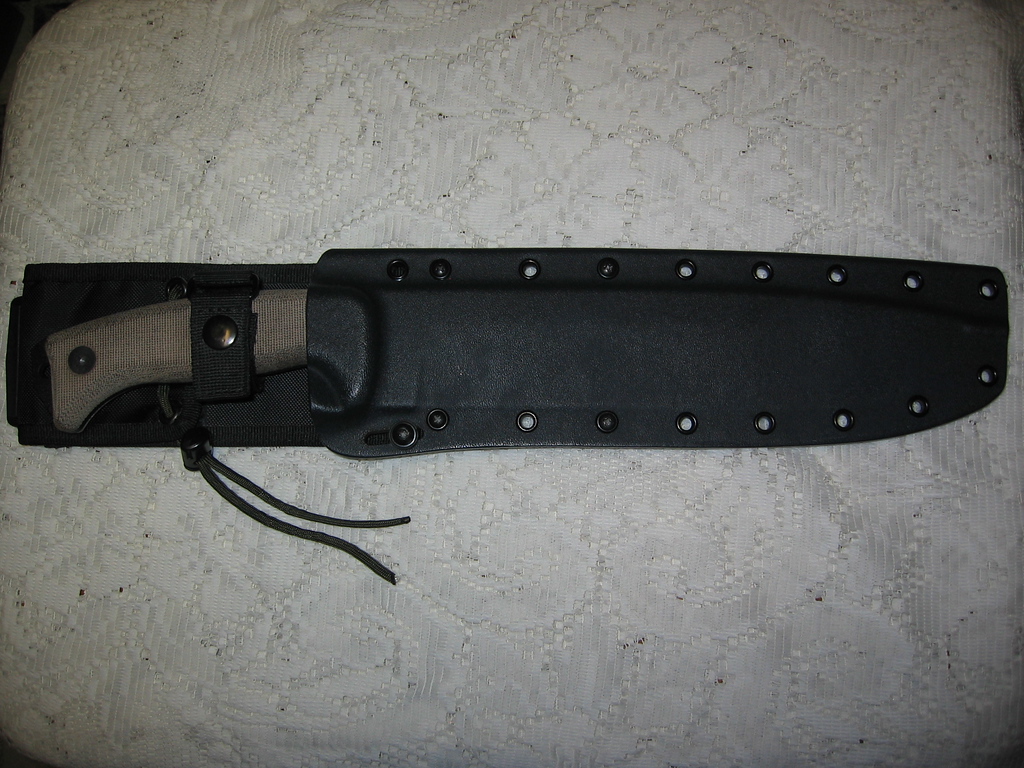 new%20pics%201224-XL.jpg