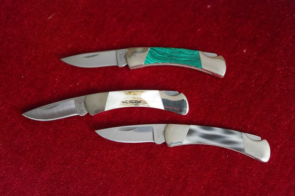 Buck505MalaStagLeopardklein.jpg