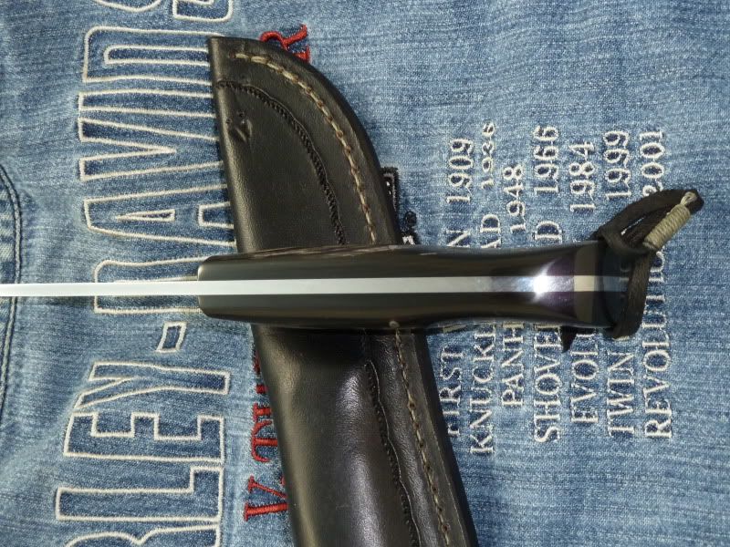 BHskinner004.jpg
