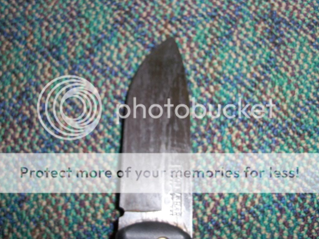 100_5005.jpg