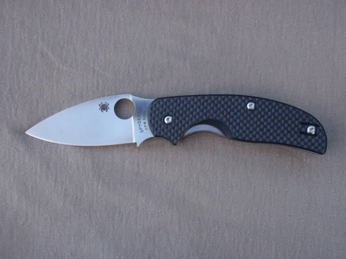spydies3.jpg
