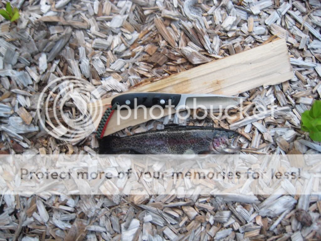 KentsElkCamp017.jpg
