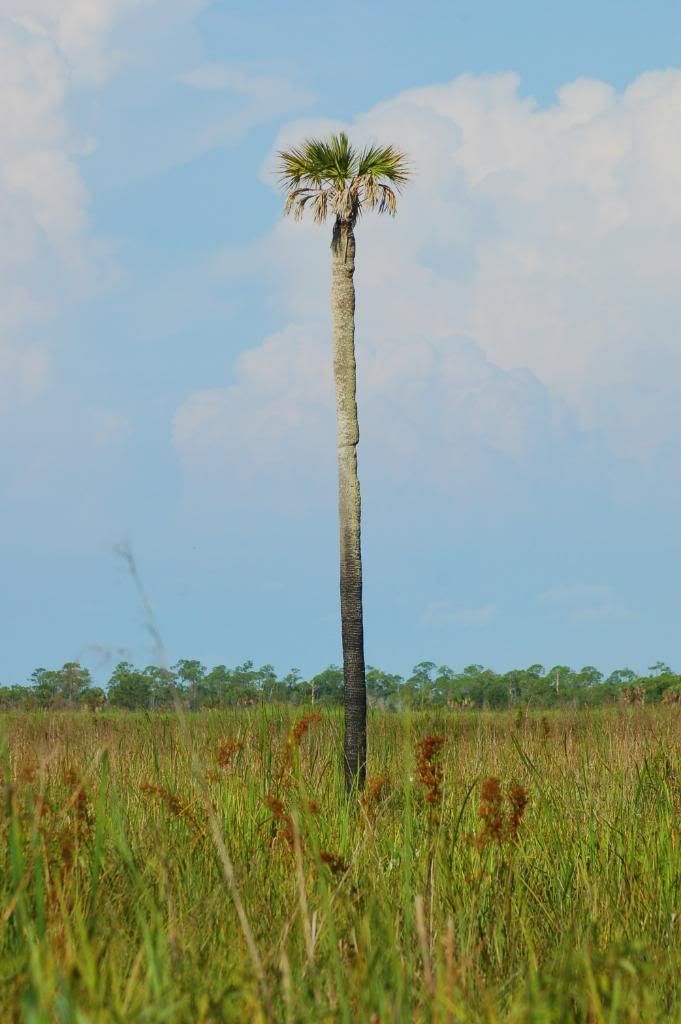 DSC_0143.jpg
