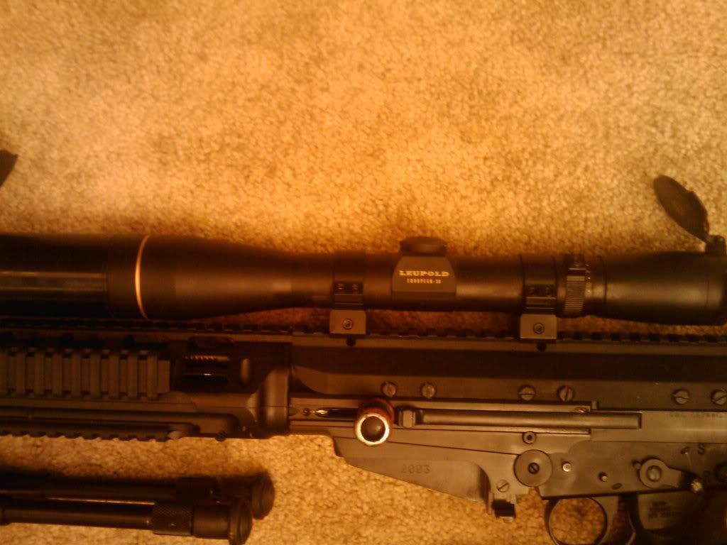 fal041.jpg