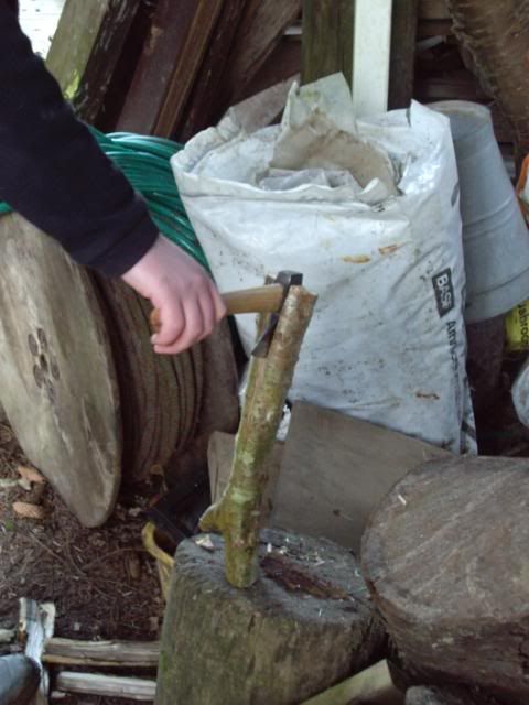 IMGP0637.jpg