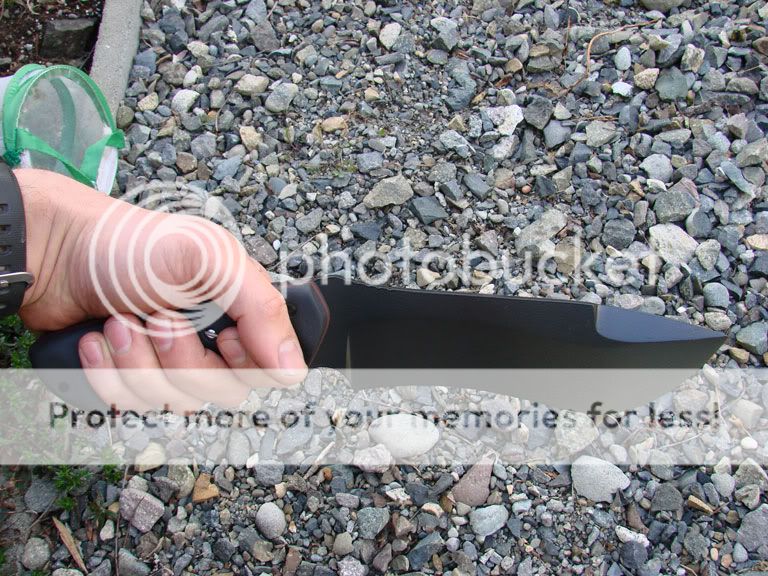 DSC05645.jpg