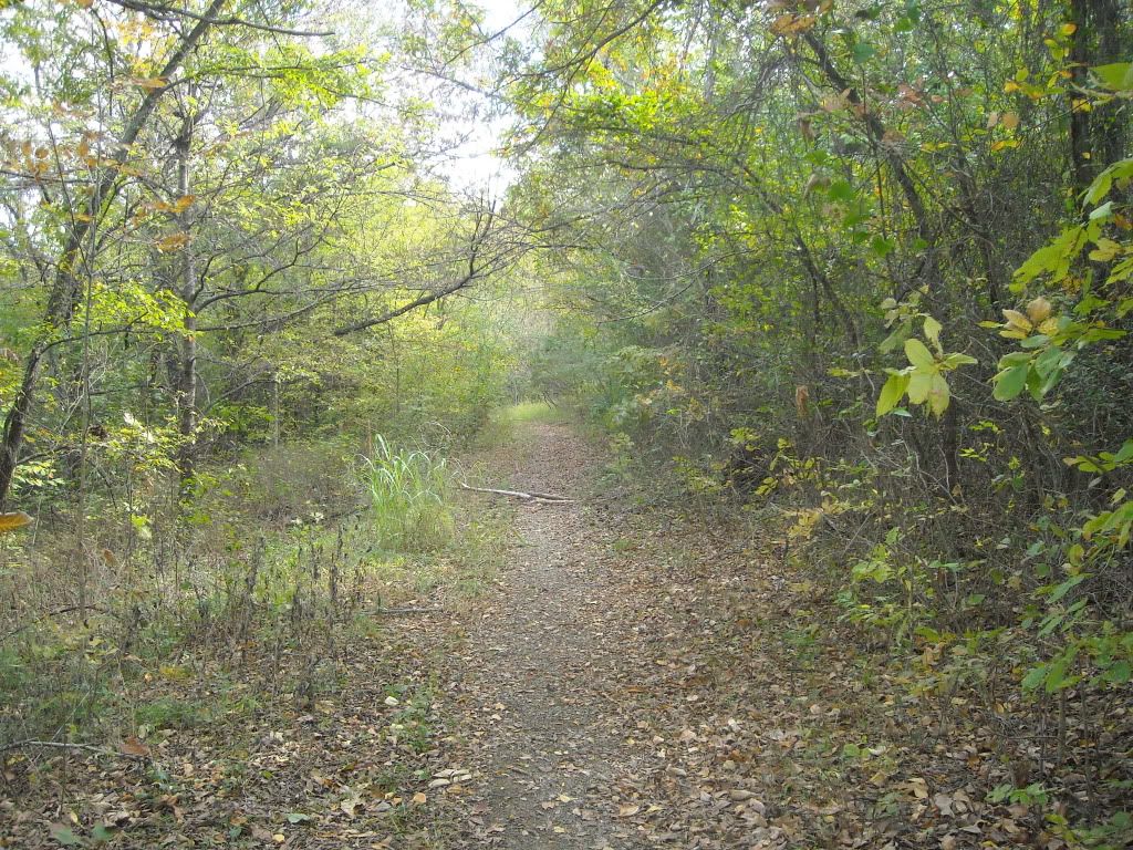 DSCN1204.jpg