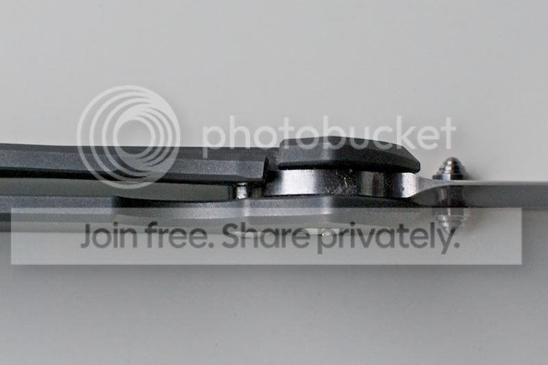 Sebenza21Small4.jpg