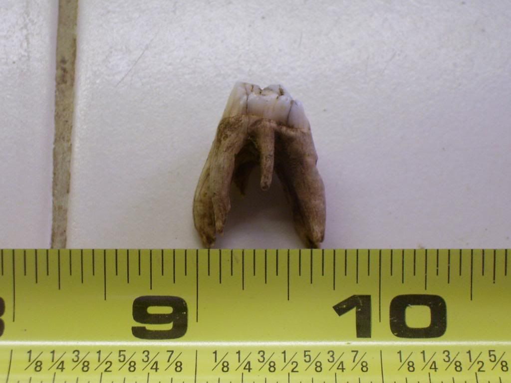 100_0572.jpg