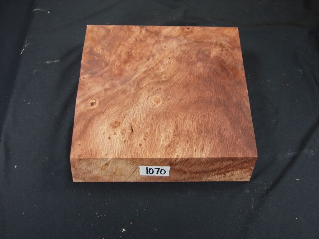 1070a.jpg