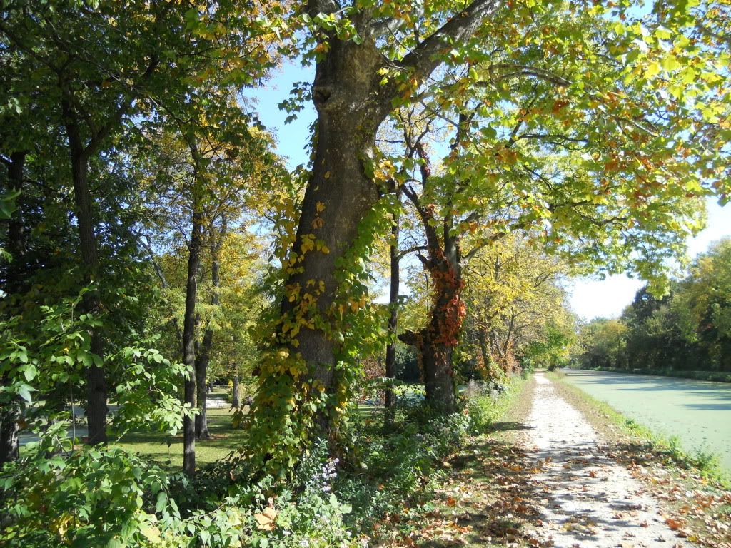 003-28.jpg