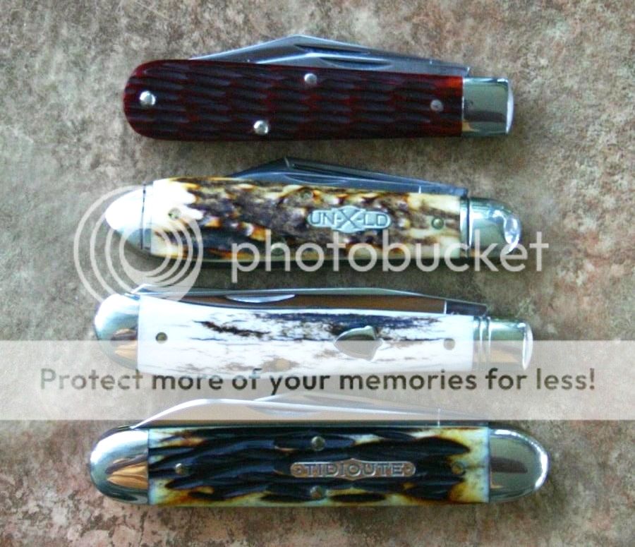 IMG_0211_zps31ec1300.jpg~original