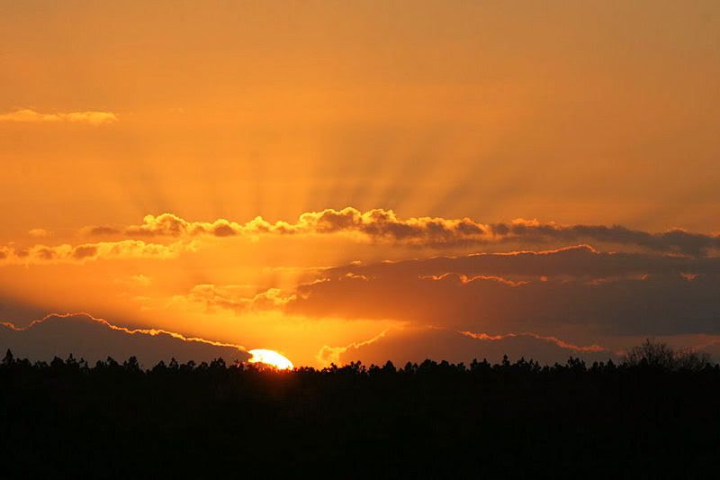 Sunrise.jpg