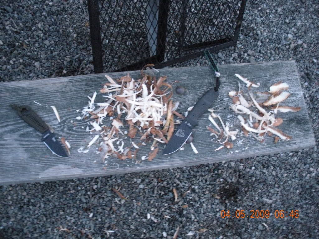 DSCN0390.jpg