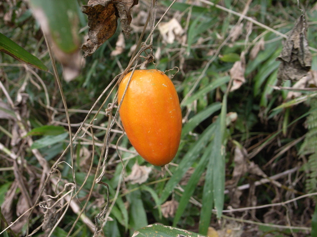 2009.11.01.r0019255.jpg