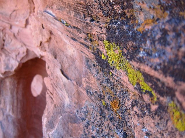IMG_2555.jpg