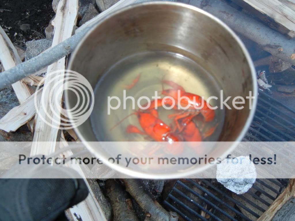 Newpics042.jpg