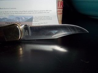 9565811767_5b418e657c_n.jpg