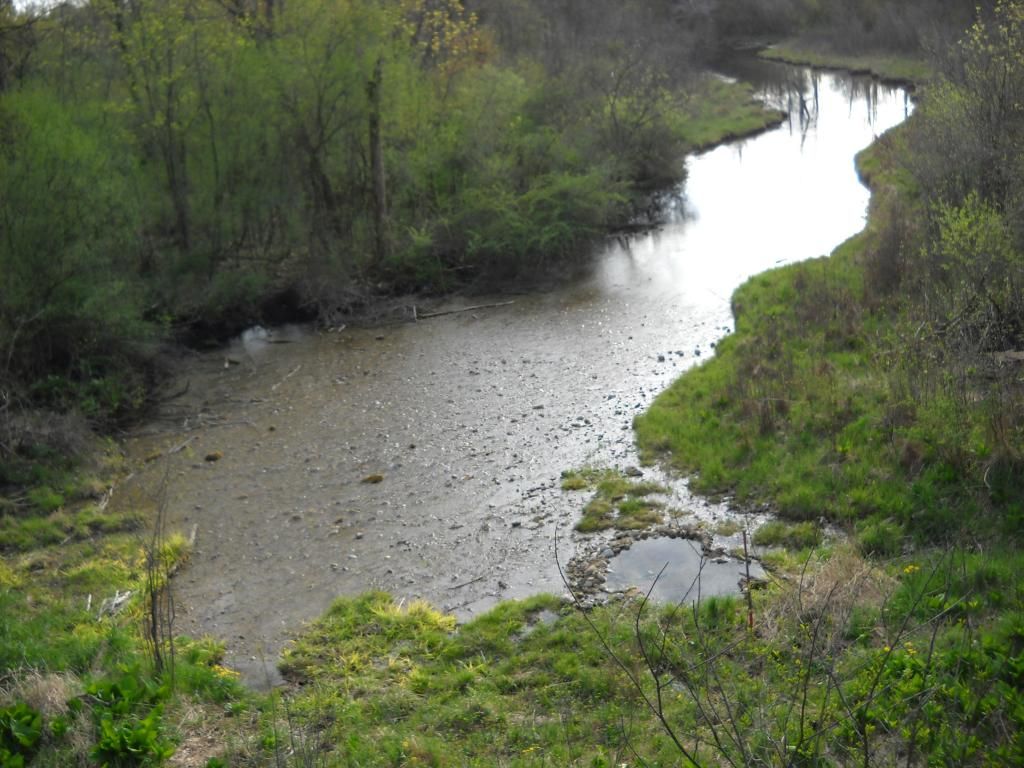 DSCN2184.jpg