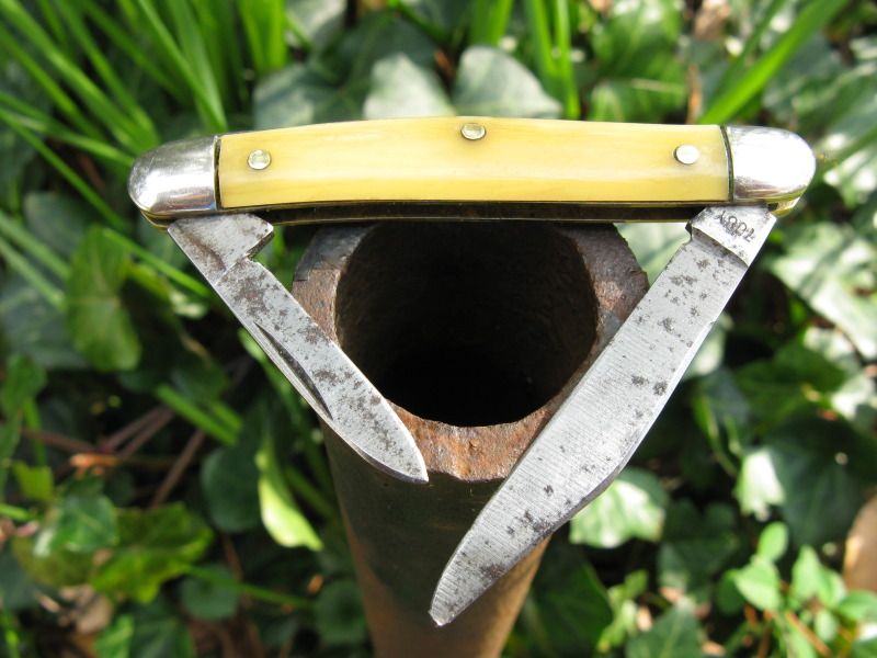 Schradepileopen2.jpg