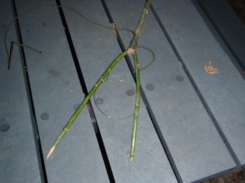 P5020111.jpg