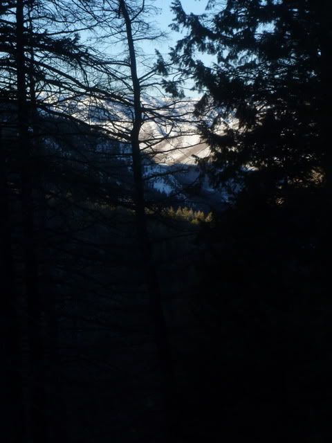 P1020270.jpg