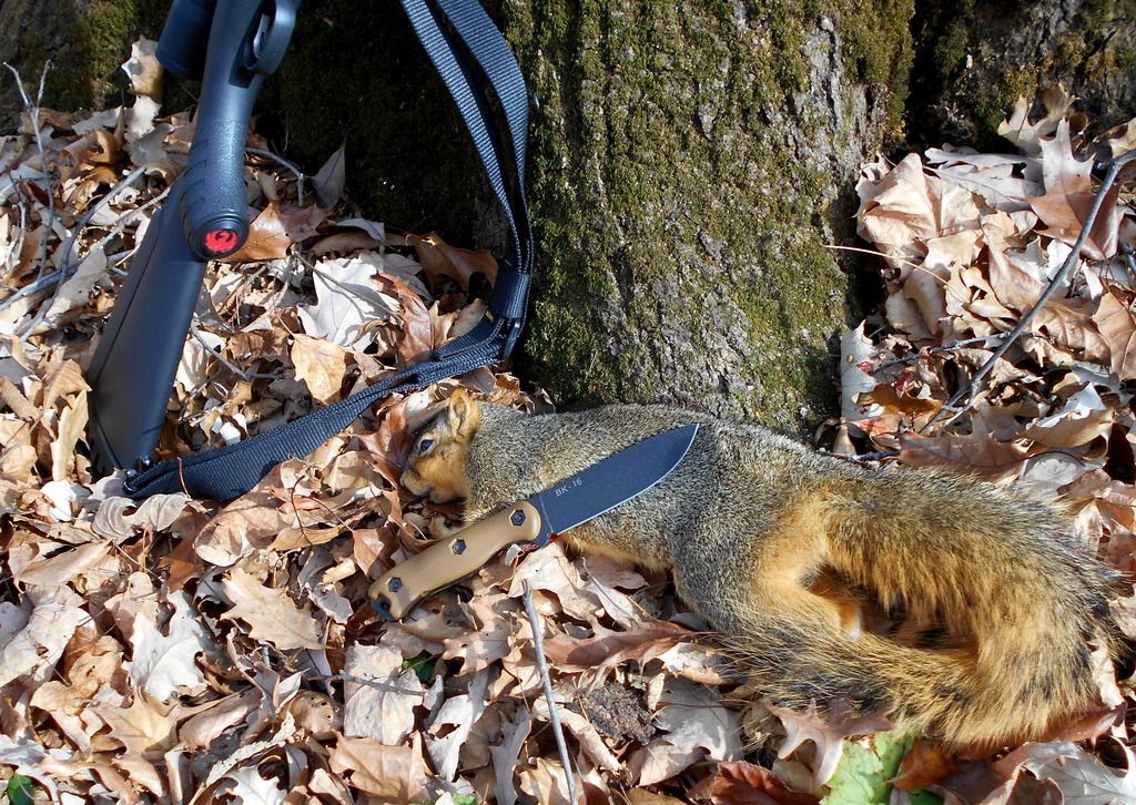 20151118_d0020_zpsclqkfw6c.jpg