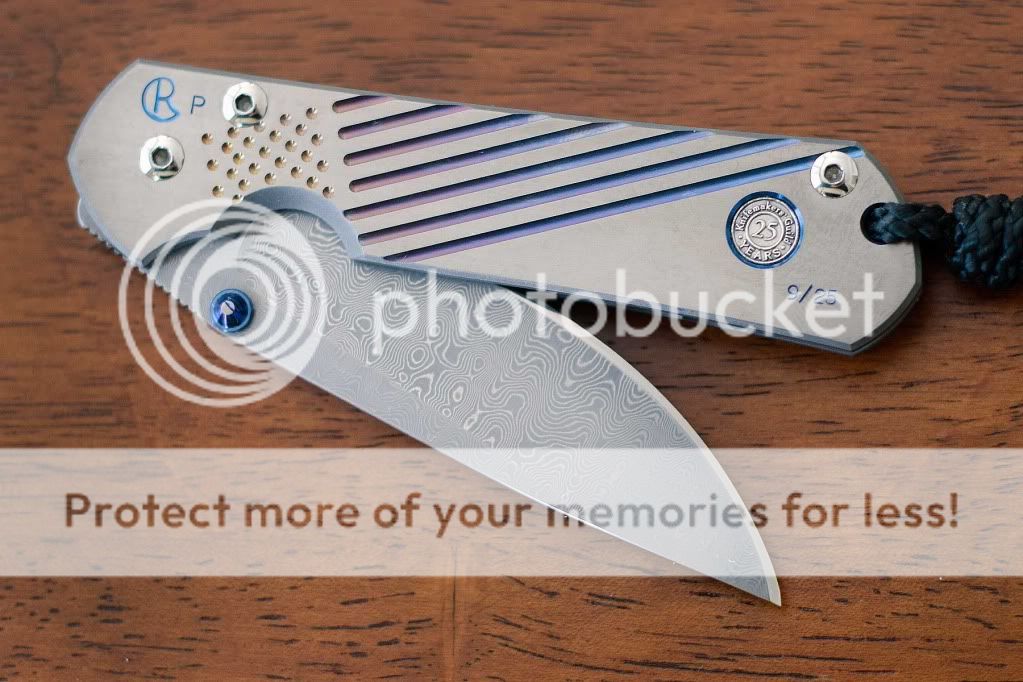 Medallion-P-Sebenza_2.jpg