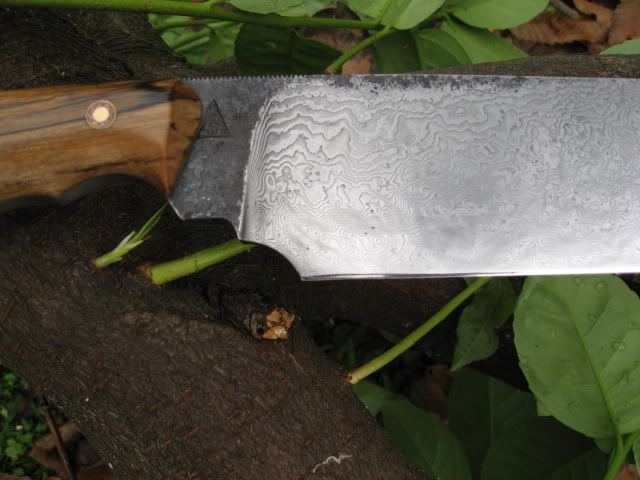Photo2036.jpg